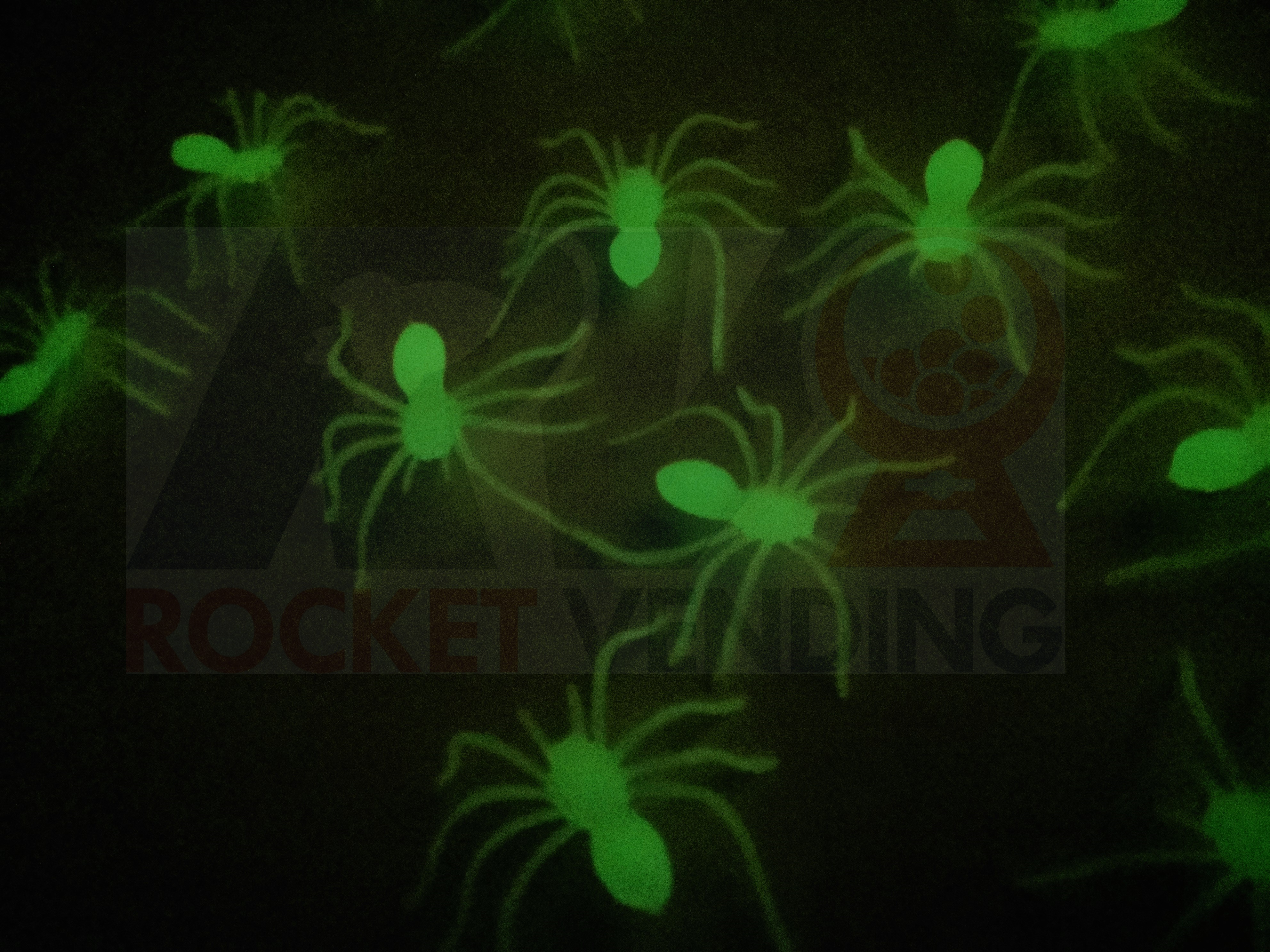 50 Arañitas Encapsuladas 2 pulgadas Brillan en la oscuridad 2p - Rocket Vending Todo en Chicleras